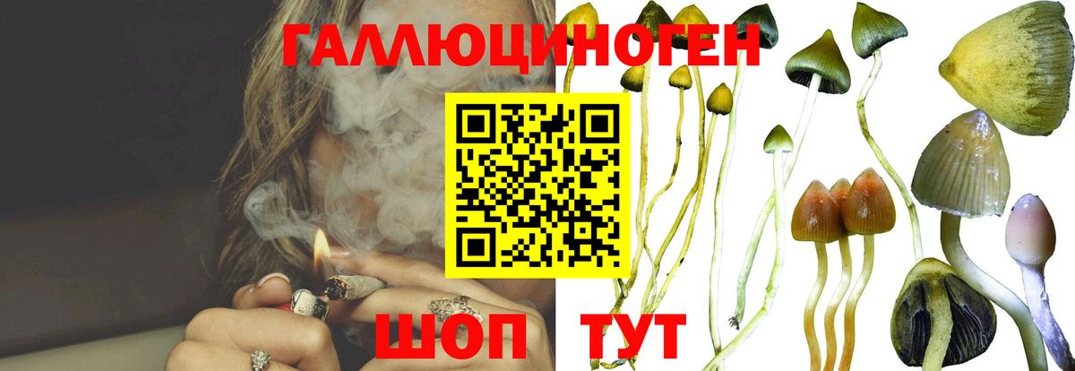 Ижевск  Псилоцибиновые грибы мухоморы  Вход с VPN  Псилоцибиновые грибы Psilocybine cubensis 